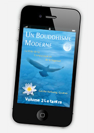 Un Bouddhisme Moderne - La voie de la compassion et de la sagesse - Volume 2 Tantra