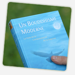 Un Bouddhisme Moderne